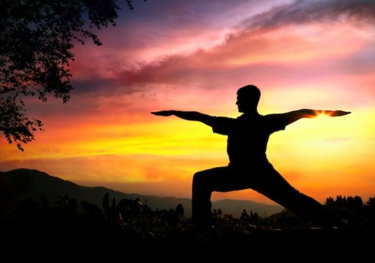 Yoga silhouette virabhadrasana II warrior pose