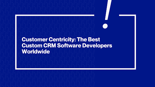 Best Custom CRM Software Developers
